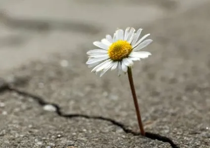 10 Eylül Dünya İntiharı Önleme Günü: Farkındalık Hayat Kurtarır